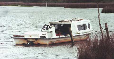downeast.jpg